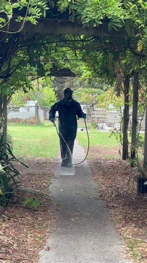 Garden Pest Treatment | Professional Pest Control in Action