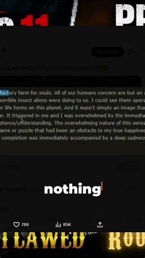 Is human existence just a cosmic factory farm?