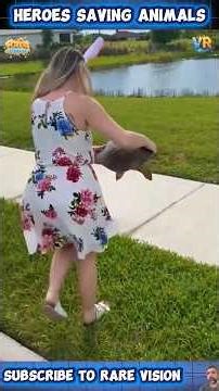 26 Heart-Stopping Animal Rescues That Will Restore Your Faith in Humanity ❤️