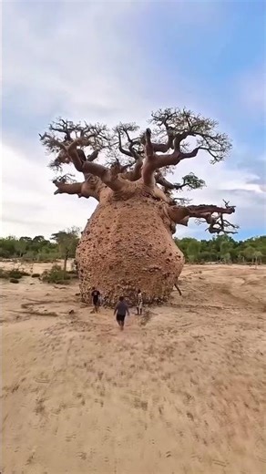 Places On Earth That Don't Feel Real #travel #nature #adventure #explorepage