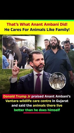 Donald Trump Jr. Praises Vantara: A Powerful Message About Animal Care and Love! #shorts