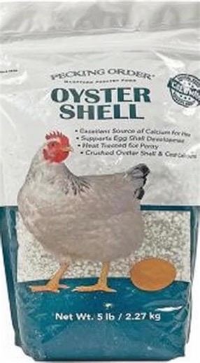 Premium Calcium Supplement for Laying Hens - Supports Strong Eggshell Development & Poultry Health - Natural Oyster Shell Grit (5 LB) - High-Quality Feed Additive for Chickens - Essential Nutrient for Egg Production ideal gift #highproteinbagels #usefulpetproducts #pearlpowderbenefits #naturaldogcare #chickenkeepingmusthaves #beeforgansupplements #morningsupplements #vitalvitamins #calciumeyepatches #dietarysupplement
