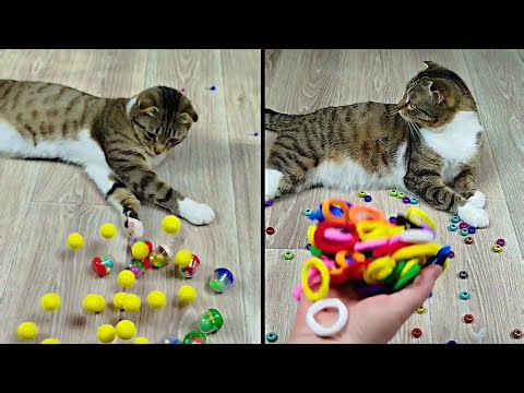 Satisfying Reverse Video ASMR 💥 Marble Run and More