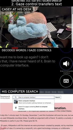 A web search through a brain–computer interface