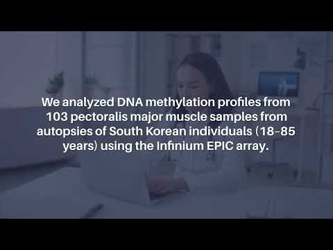 Epigenetic Aging and Age Prediction in Human Skeletal Muscle | Aging-US
