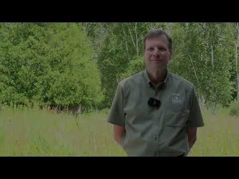 Glen Chown | Mott Foundation 100 Voices