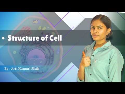 Structure of Cell Explained in 4 minutes (BPT) #generalphysiology #biology