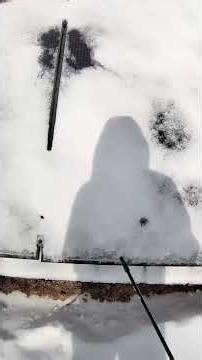 What's the best way to de-ice the solar panels? #narrowayhomestead #offgrid #deicer #solarpanels