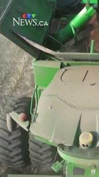 Alberta canola producers are using new farming techniques