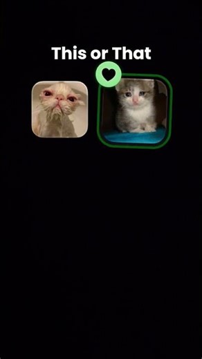 Proof that cats are actually aliens