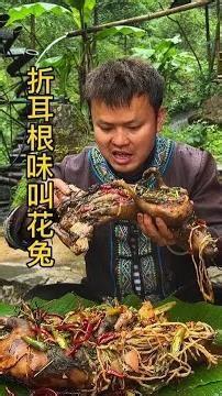 折耳根叫花鸡 喜欢香菜和折耳根味，就来做折耳根香菜味的叫花兔吧，结果好香啊