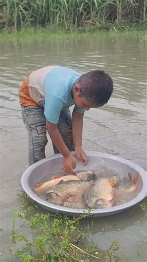 Amazing Hand Fishing Video #Fish