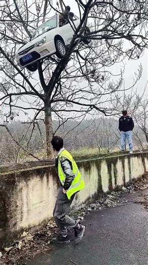 Not AI ! This Driving School Car Actually Got Stuck in a Tree (Brake Mix-Up) 🚗🌳