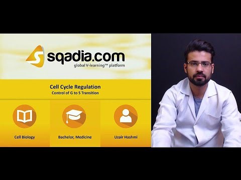 Cell Cycle Regulation | Control of G to S Transition