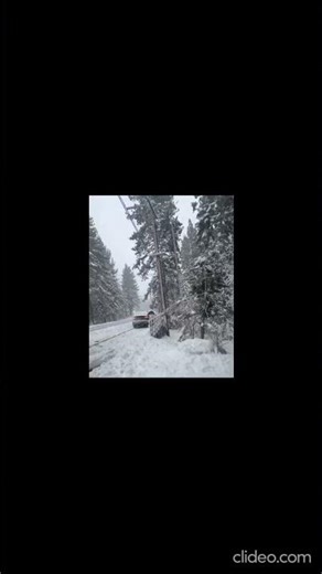 Severe Winter Storm Causes Hazardous Driving in Sierra Nevada #breakingnews #storm