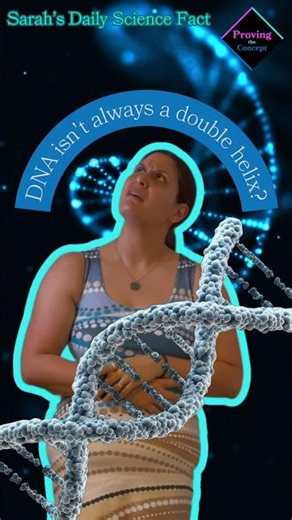 Cellular DNA might not always be a double Helix?