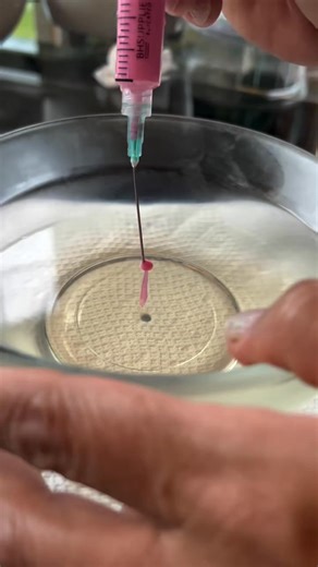 Jello flowers (also called 3D gelatin art or jelly flowers) are edible designs made by injecting colored gelatin into a clear base to create realistic flowers (like roses or peonies) suspended inside. Originating in Mexico as gelatina floral, they're popular in Vietnam, Thailand, and worldwide. The transparent dessert resembles flowers encased in glass and is often served as cakes or individual molds. | GIGadgets