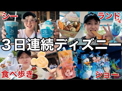 【夏ディズニー大満喫】３日連続でディズニーランド&シーに行ってきたけど何回行ったって楽しすぎる