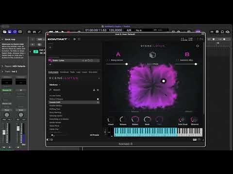 Scene Lotus No Talking Playthrough | Native Instruments #nativeinstruments #musicproduction #vst