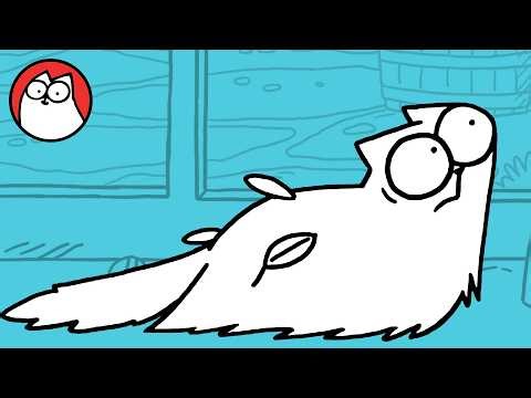 WET CAT - Brand New Film! 4K