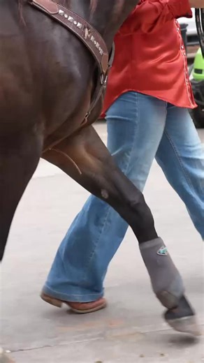 The energy, the experience, the magic of the 2026 BBR World Finals! Enjoy The Adventure! BBR World Finals 2026! 💎The Crown Jewel of Better Barrel Races! 📸Thank You Traci Davenport Photography for this magical, captivating reel! #betterbarrelraces #bbrworldfinals #VisitOKC #tracidavenportphotography Visit OKC National Trailer Source Shorty's Caboy Hattery