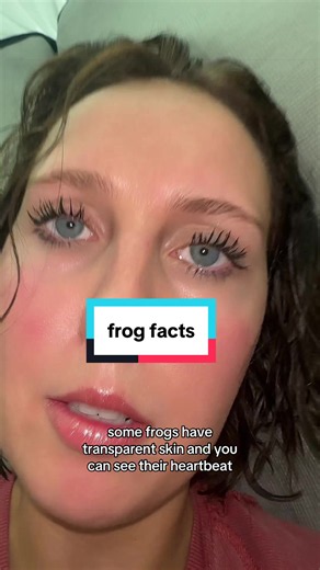Frog Facts: 15 Interesting & Disturbing Frog Facts