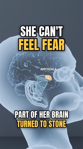 What if you cannot feel fear?