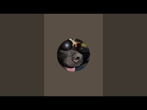 The NEW! Berry M.C. is live!