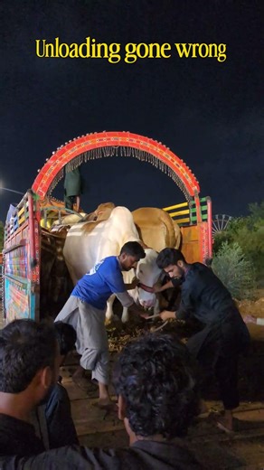Unloading gone wrong 🫠😂