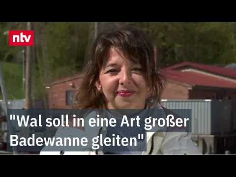 "Leitplanken aus Bigmacs" und Blutabnahme geplant, so Laura Rihm zur Wal- Rettungsaktion| ntv