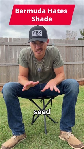 Why Bermuda grass breaks every lawn rule 🌱 #bermudagrass #lawncare #lawntips #shorts