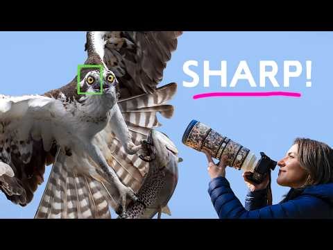 The Secret to SHARP Wildlife Photos