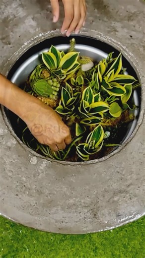 Old Tyre Table with Rustic Rope Finish and Green Touch ✨ #diy #table #home_decor | RusticKraft