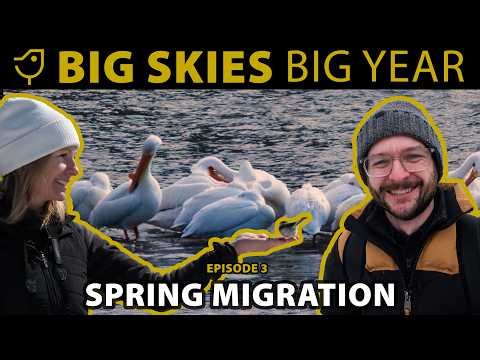 Big Skies, Big Year - Episode 3: Spring Migration in Saskatoon's Meewasin Valley