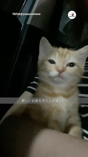 My name is Yuzu | PECO