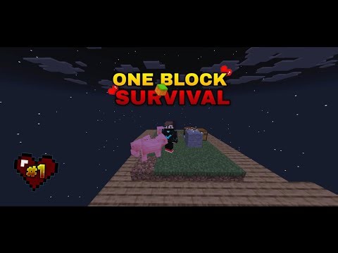 : 😱 SURVIVING ON ONLY 1 BLOCK?! | The Ultimate One Block Challenge! (Part 1)