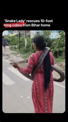 Watch: 'Snake Lady' Safely Rescues 10-Foot King Cobra In Bihar | Viral | Bishaha | Valmikinagar