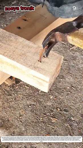 Nail Extraction: How Steel Crowbars Transform Embedded Fasteners into Recovered Items 