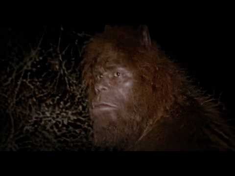 WOW! A Hiker Filmed The SCARIEST New Bigfoot Footage Of 2026! It's SO CLEAR It'll Make YOU Believe!
