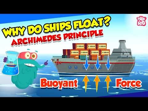 How Do Ships Float on Water? 🚢 What is Archimedes' Principle? | Buoyant Force | Dr. Binocs Show