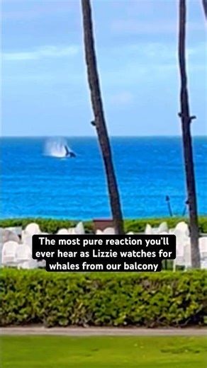 Maui Hawaii Honeymoon