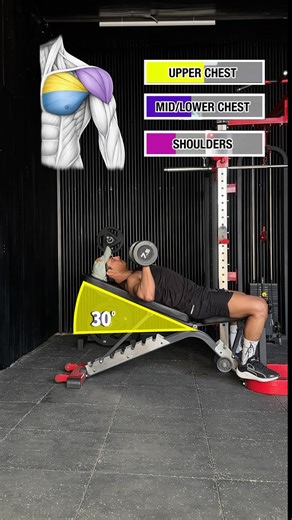 🟢 Bench Press Angles & Muscles Worked❗️