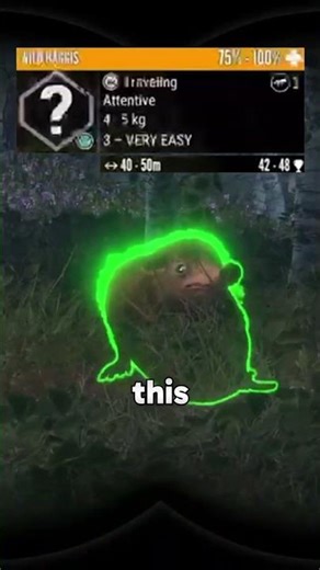 CRAZY MATING CALL of the WILD HAGGIS!!!