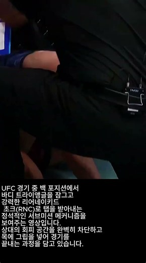 백 포지션 바디 트라이앵글 및 리어네이키드 초크 서브미션 분석 #주짓수 #리어네이키드