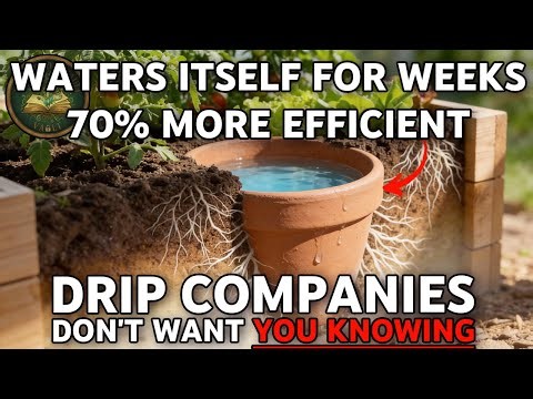 The Self-Watering System Drip Irrigation Companies Don't Want You to Know