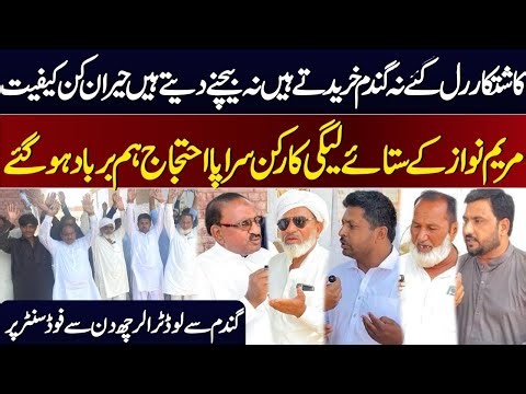 We Are Ruined!" | PML-N Workers Revolt Against Maryam Nawaz Over Wheat Crisis