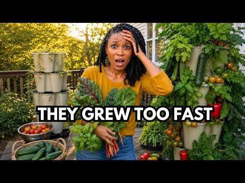 The 5 Crops That Replaced $400 of My Groceries (Even on a Deck)