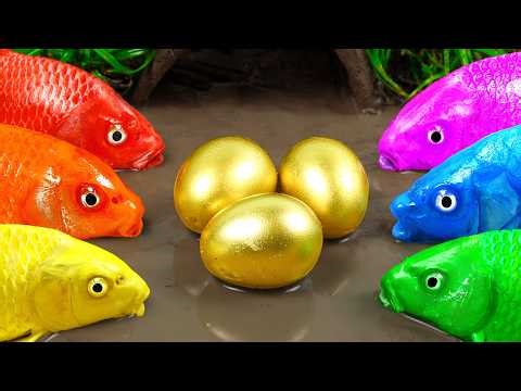 Best Of Small Fish Recipe | MINIATURE Fish Cooking Made EASY with Simple Recipe