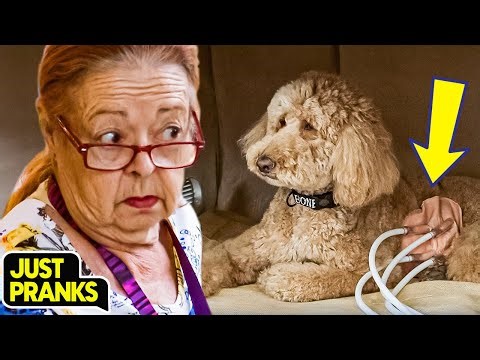 Craziest Public Pranks So Far! 🤯🤣 | Must-See Moments! 🔥 | Just Pranks