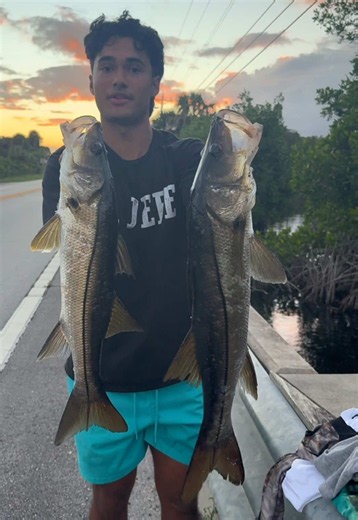 🐟 2 Cast 2 Fish 😎 #fishing #snookfishing #tarpon | fishing